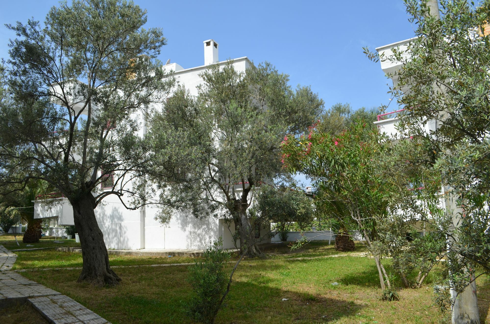Zeytin Apart Otel Aquapark Айвалык Экстерьер фото
